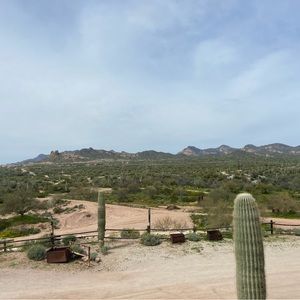 Meet your Posher, Ava